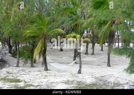 Hängematten gebunden Bäume in das tropische Paradies Insel Coco Cay in den Bahamas, in der Karibik zu Palm Stockfoto