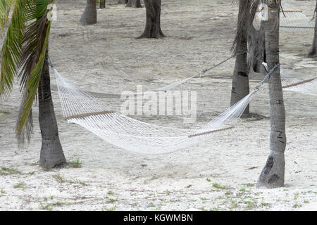 Hängematten gebunden Bäume in das tropische Paradies Insel Coco Cay in den Bahamas, in der Karibik zu Palm Stockfoto