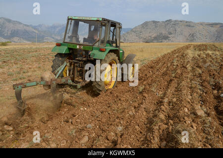 Albanien, Shkodra, Zucht von Kräuter- und Heilpflanzen, Pflügen des alten Salbei und Lavendel Feld mit John Deere Traktor/ALBANIEN, Shkodra, Anbau von Heil- und Gewuerzpflanzen, Bauernhof von Agro-Map, Pfluegen eines alten Salbei und Lavendel Feldes mit John Deere Traktor Stockfoto