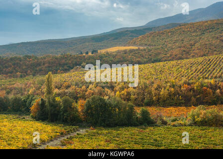 Herbst Landschaft mit Weinbergen in den Bergen in der Nähe von kertsch Stadt, Halbinsel Krim Stockfoto