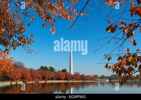 Das Washington Monument von Tidal Basin im Herbst, West Potomac Park, Washington DC, USA Stockfoto