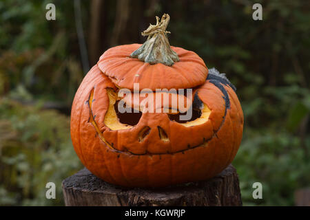 Verfallende geschnitzten Kürbis mehrere Tage nach Halloween. Großbritannien Stockfoto