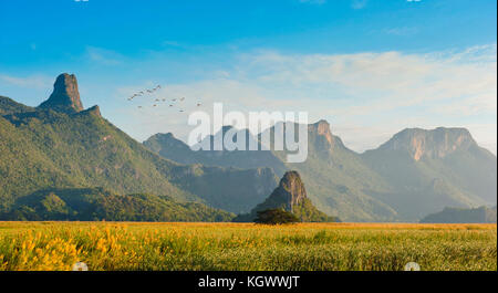 Bung bua im Khao Sam Roi Yod Nationalpark, Thailand Stockfoto