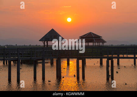 Bung bua im Khao Sam Roi Yod Nationalpark, Thailand Stockfoto