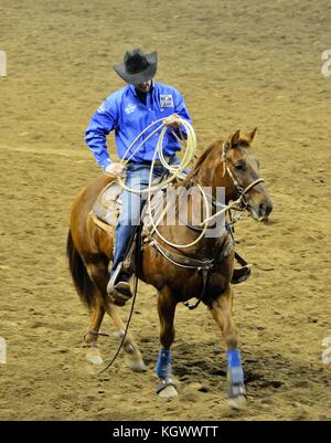 Rodeo in Denver, Colorado Stockfoto