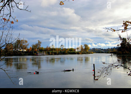 Wallace Marine Park Stockfoto