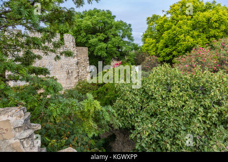 Garten der Burg von Tavira in Portugal. Aus dem 11. Jahrhundert Burgruine mit herrlichem Blick auf die Stadt und den Park von der Zinne Wände. Stockfoto
