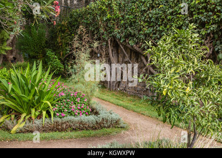 Garten der Burg von Tavira in Portugal. Aus dem 11. Jahrhundert Burgruine mit herrlichem Blick auf die Stadt und den Park von der Zinne Wände. Stockfoto
