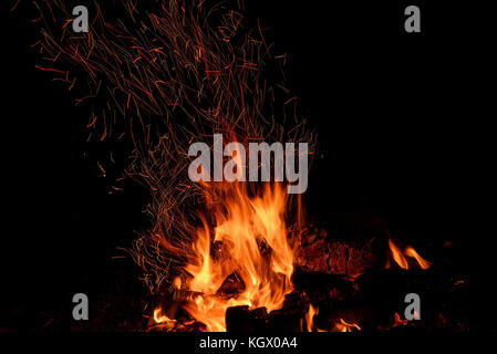 Rot und Orange Spurte der Flammen, Holzkohle, Brennholz im Feuer und Funken in Form von Tracks auf schwarzem Hintergrund Stockfoto