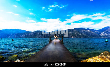 Eine Ente auf dem Bootssteg vor der Berge am Gardasee Stockfoto