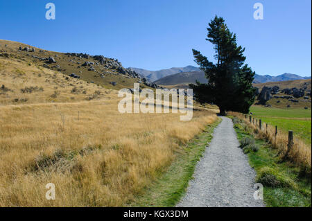 Pass in der wunderschönen Bergwelt rund um den Arthur's Pass, Südinsel, Neuseeland Stockfoto