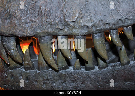 Die Zähne im Mund eines T. Rex Dinosaurier Skelett Fossil Stockfoto