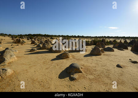 Pinnacles Desert, Western Australia. Durch die vom Wind angetriebene Differenzialerosion entsteht eine erstaunliche Landschaft im kochenden Sonnenschein nördlich von Perth Stockfoto