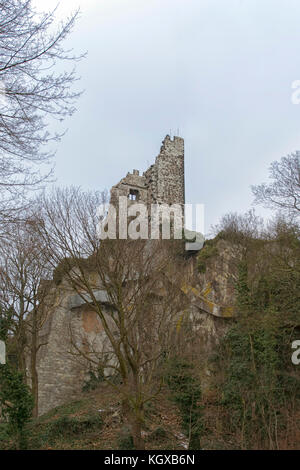 Burg Drachenfels Schloss in Petersberg, Deutschland Stockfoto