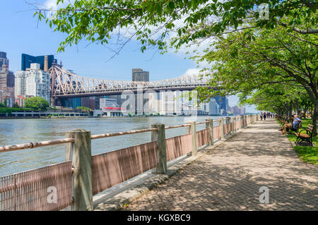 New York USA New York ed Koch Queensborough Bridge über Roosevelt Island und dem East River Queens mit Manhattan New York USA Stockfoto