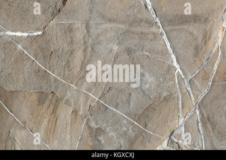 Ein Fels des grauen und weißen Adern frontal fotografiert. Stockfoto