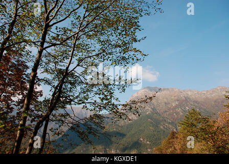 Ein Berg Szene in der norditalienischen Region Friaul. Es ist Oktober und die Bäume beginnen, ihr Herbst Farben zu zeigen Stockfoto