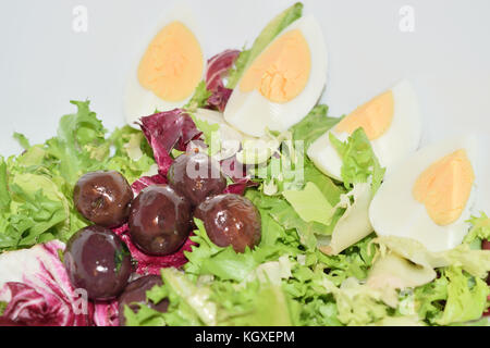 Salat von Radicchio Salat Eier und Oliven Stockfoto