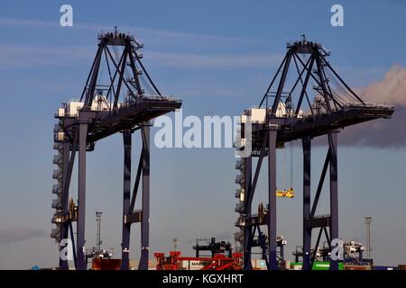 Die Kräne im Hafen von Felixstowe warten auf den nächsten Container schiff zu laden oder zu entladen. Von der anderen Seite des Flusses Orwell an shotley Gate gesehen. Stockfoto