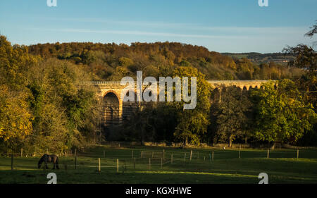 Viktorianische Lothianbridge Viadukt, Grenzen Eisenbahnlinie, mit niedrigen Herbst Sonne Licht auf Mauerwerk, Midllothian, Schottland, Großbritannien und Pferd im Bereich Stockfoto