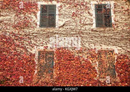 Varna (BZ) Ita 2. November 2017: Kloster Novacella, Südtirol, Brixen, Italien. Stockfoto