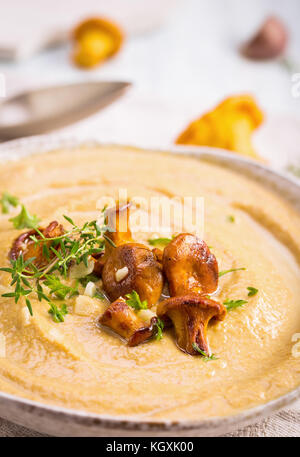 Chanterelle Suppe closeup Stockfoto