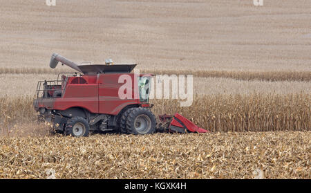 Red Mähdrescher Ernten von Mais in einem Bauernhof Feld Stockfoto