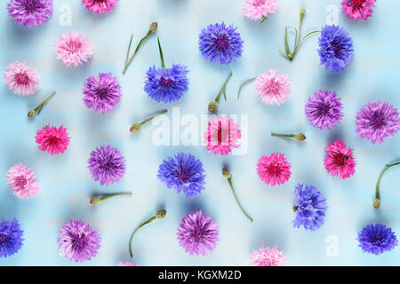 Floral background mit Kornblumen auf Blau Stockfoto