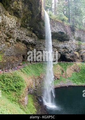 Oregon: Silver Falls State Park Stockfoto