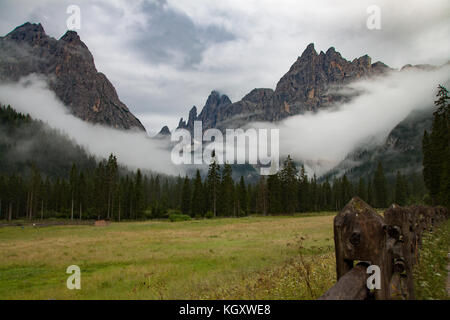 Nebel in den Dolomiten, Fischleintal, Sexten, Pustertal, Bozen, Trentino Alto Adige, Italien Stockfoto