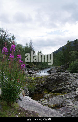 Fluss Rauma in der Nähe der Stadt bjorli in Oppland, Norwegen. Stockfoto