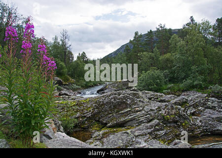 Fluss Rauma in der Nähe der Stadt bjorli in Oppland, Norwegen. Stockfoto