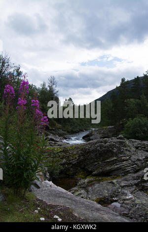 Fluss Rauma in der Nähe der Stadt bjorli in Oppland, Norwegen. Stockfoto