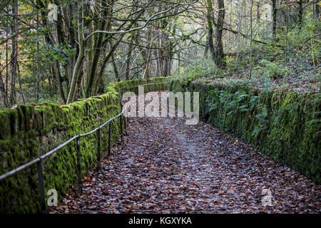 Hebden Bridge ist eine Marktstadt, die Teil von Hebden Royd in West Yorkshire, England, ist. Es liegt im oberen Calder Valley, 8 Meilen westlich von Halifax A Stockfoto