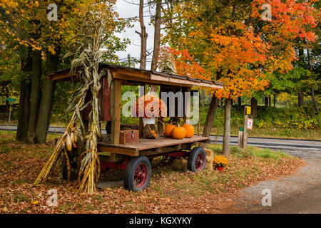 Bauernhof am Straßenrand stehen im Herbst, Lithgow, New York Stockfoto