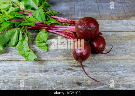 Frische organische Rüben, rote Beete auf Grau rustikal Hintergrund. Stockfoto