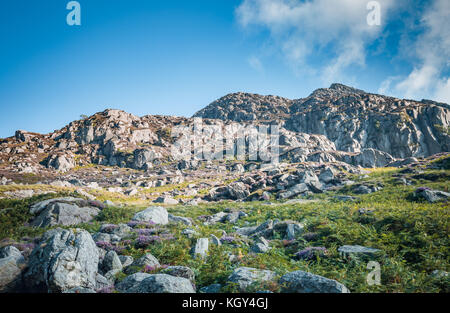 Felsigen Hängen des Tryfan Berg im Norden von Wales Stockfoto