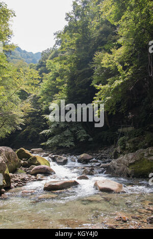 Bach im Nishizawa Valley, Präfektur Yamanashi, Japan Stockfoto