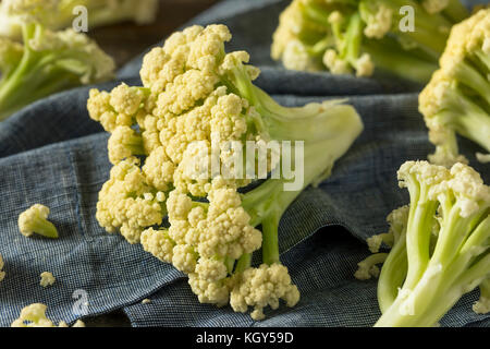 Raw organic weiß blühenden Blumenkohl bereit zu kochen Stockfoto