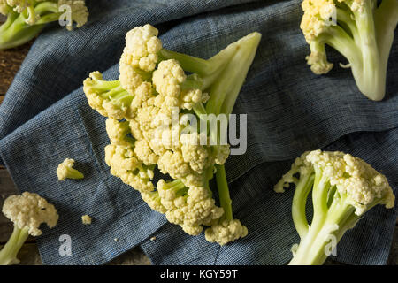 Raw organic weiß blühenden Blumenkohl bereit zu kochen Stockfoto