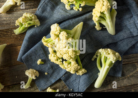 Raw organic weiß blühenden Blumenkohl bereit zu kochen Stockfoto