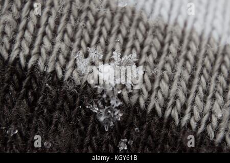 Nahaufnahme der Schneeflocken auf Gestrickte Garne Handschuh während der frühen Schneefall Stockfoto