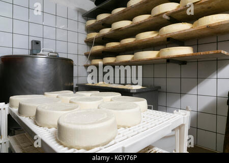 Handgefertigte italienische Käse Produktion in Mountain Farm Stockfoto