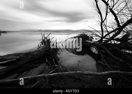 Langzeitbelichtung, Blick auf den See, mit perfekt noch Wasser, Skelett Bäume und ziehenden Wolken Stockfoto