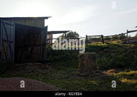 Straße in einem Dorf auf dem Land in den Abend im Herbst, Russland Stockfoto