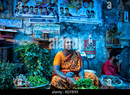 Indische Frau umgeben von Produkten in Goubert Market, Pondicherry, Indien Stockfoto