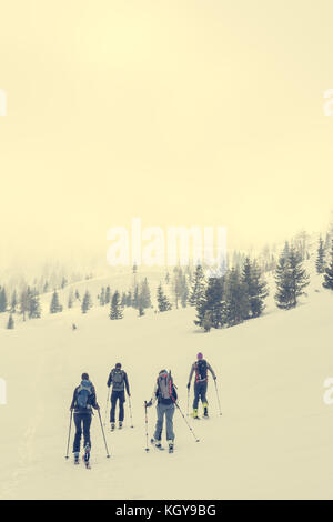 Gruppe von zurück Langläufer gehen durch einen nebligen Tal. Stockfoto