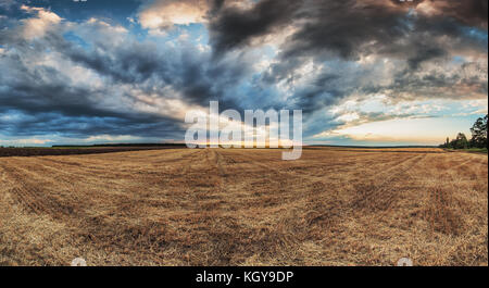 Dramatische Wolken über dem Feld nach der Ernte, Sonnenuntergang geschossen Stockfoto
