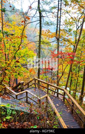 Schritte und Brücke an tallulah fällt Stockfoto
