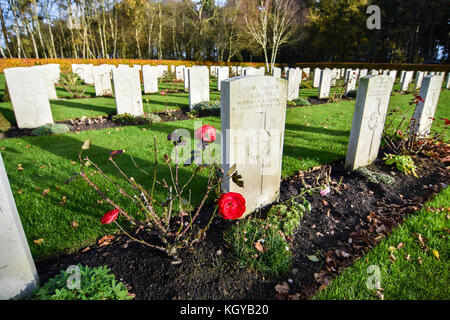 Rosen bepflanzt Neben Grabsteine in Erinnerung an die gefallenen Soldaten aus dem Ersten und Zweiten Weltkrieg; einschließlich Soldaten aus Deutschland, Österreich und Neuseeland, um nur einige zu nennen. Stockfoto